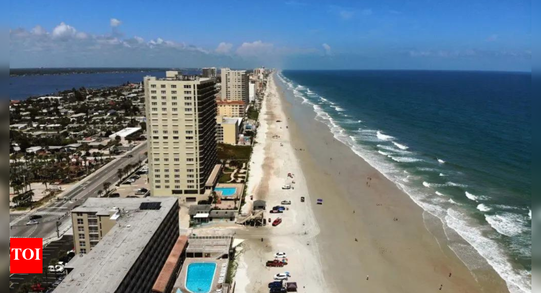 US Border Patrol Hurricane Debby’s unexpected find 1 million in