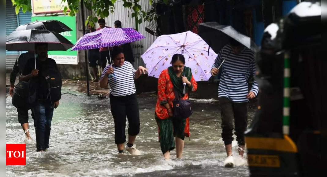 Heavy rains in Rajasthan