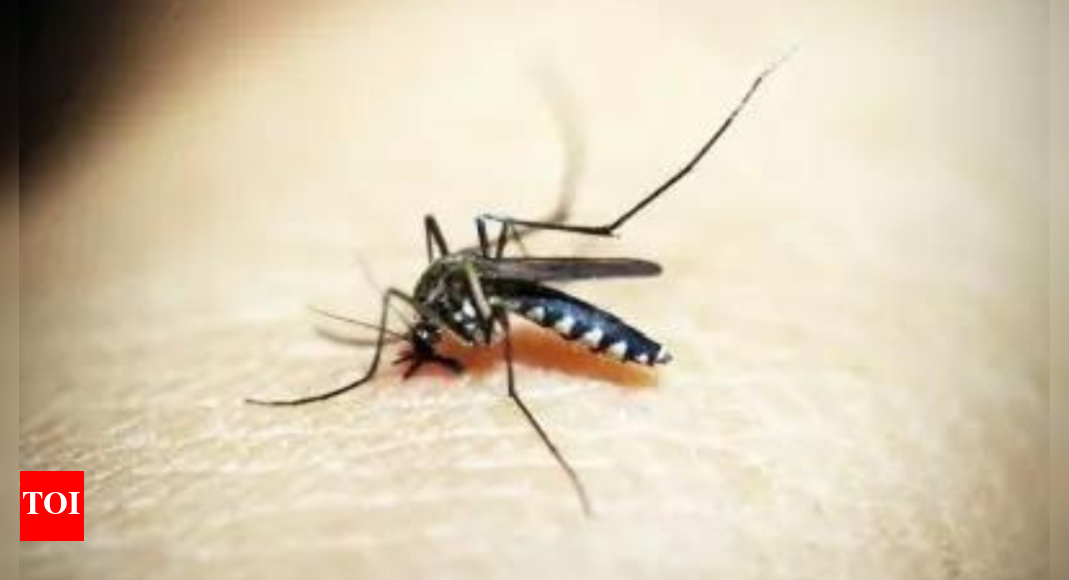Malaria, dengue cases on the rise in tribal areas of north Andhra ...