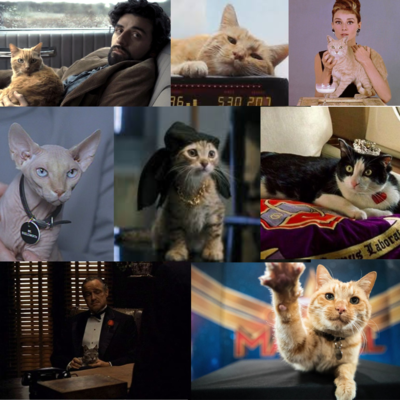 Celebrate International Cat Day with cinema's most loved felines