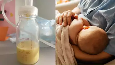 Breast shops milk colostrum