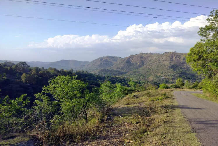 Palampur