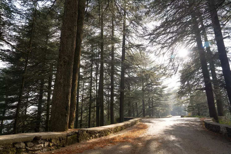 Chail