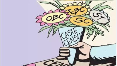 Caste census is sub judice: Centre | India News - Times of India