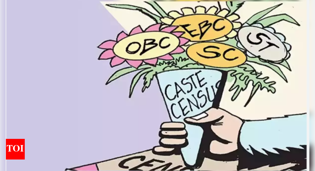 Caste census is sub judice: Centre | India News - Times of India