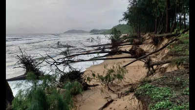 Erosion threatens Galgibaga turtle nesting site