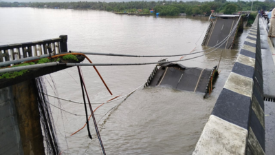 Key bridge collapses in Karnataka, trucker rescued