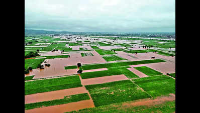 Kolhapur dist logs highest crop damage across state