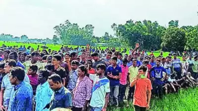 BSF struggles to block terror-struck Bangladeshis fleeing homeland