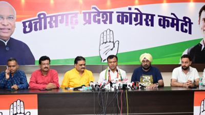 Steel sector strike hits livelihood, says Deepak Baij