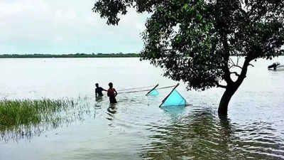 Bangladesh crisis: BSF bans night fishing along Indo-Bangla border