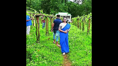 Cultivation of dragon fruit thrives in Kandhamal village
