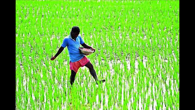 Farmers allege fertiliser crunch for kharif season