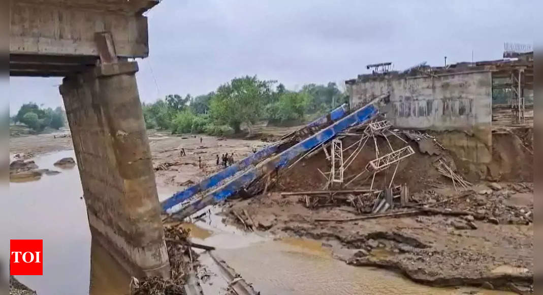 Yet another bridge collapses in Bihar district