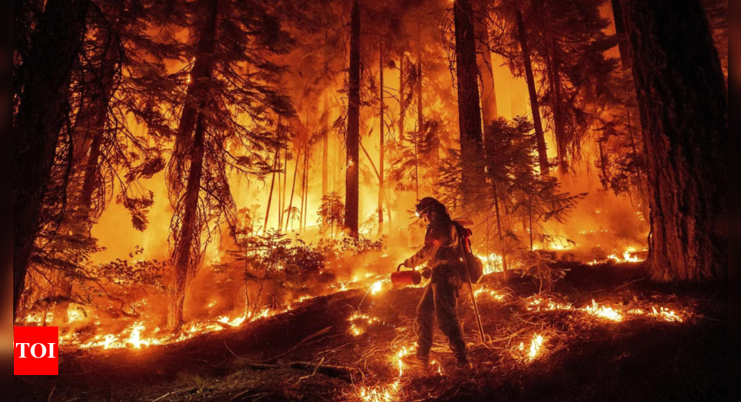 Huge California wildfire chews through timber in very hot and dry weather