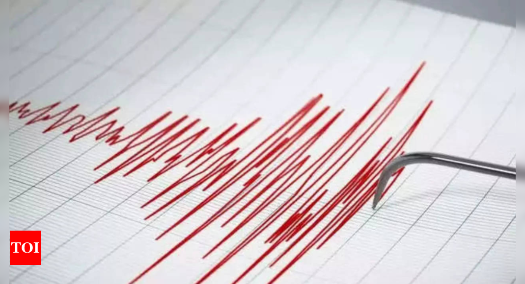 Japan’s scientists warn of a ‘megaquake’: What it means – Times of India