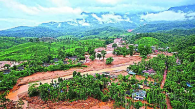 Wayanad landslides: Kerala HC initiates suo motu case