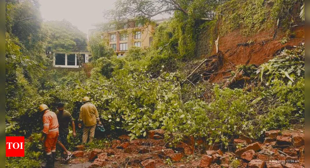 Landslide at Old Goa after heavy rain | Goa News - Times of India