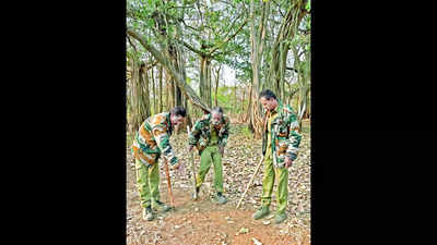 Matter of pride: Protecting Gir's lions is a family affair