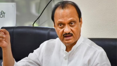 ‘We have learned a lesson’, says Maharashtra deputy CM Ajit Pawar; apologises to onion farmers for export ban