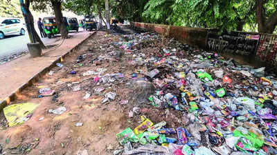 No end to garbage problem, now green belt a dumpyard in Gurgaon