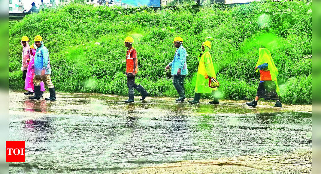 Heavy Rain Alerts for India and Mexico