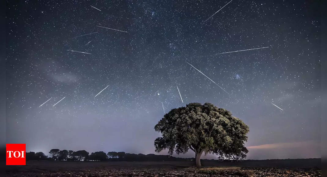 Perseid Meteor Shower Perseid meteor shower 2024 Peak viewing times