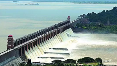 Dam gate gives way, puts lakhs in Karnataka, Andhra at flood risk