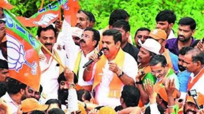 Miffed with state chief, Karnataka BJP bloc plans own padayatra