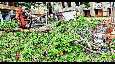 More rain likely as monsoon gains strength in Bihar: IMD