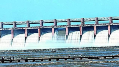 Tungabhadra dam gate breaks, high alert in Andhra Pradesh