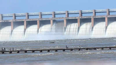 How did Tungabhadra dam's 19th crest gate fail? Explained