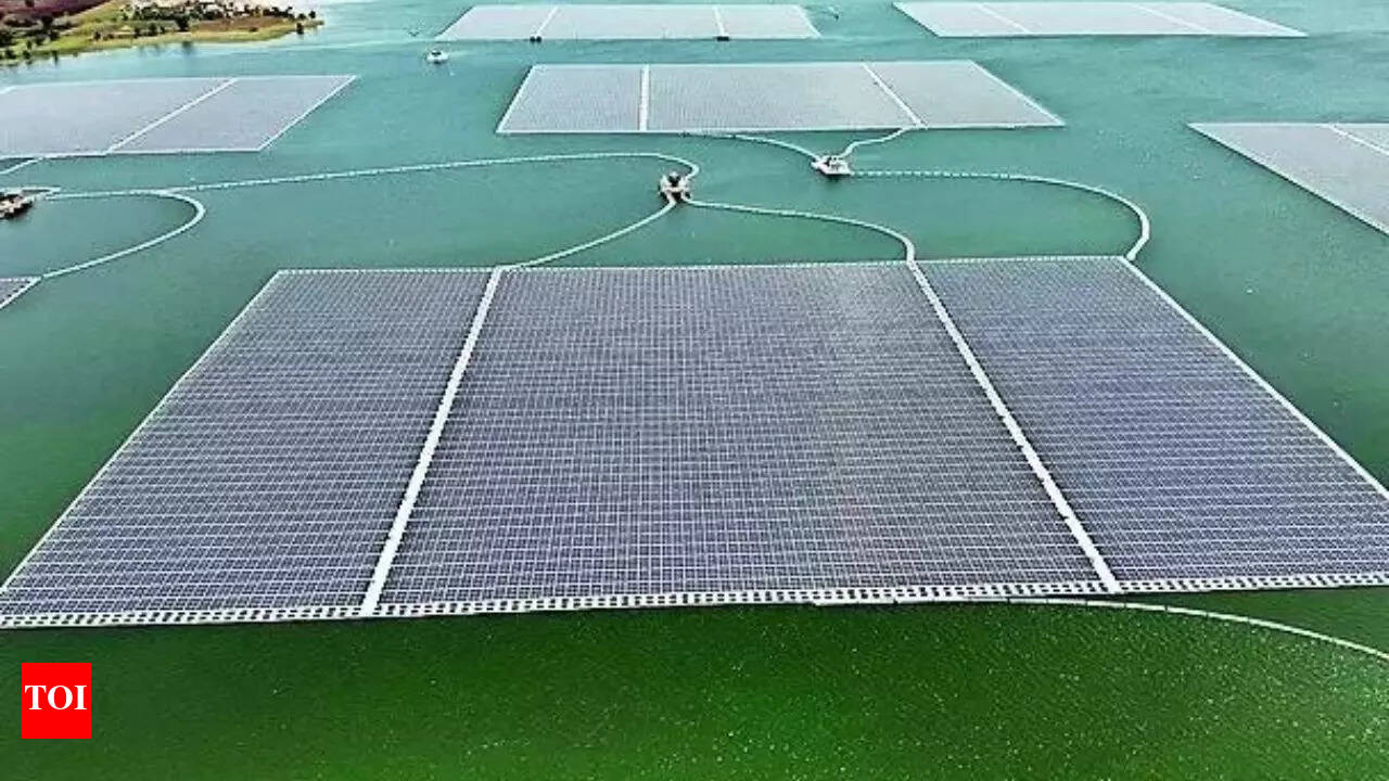 Floating Solar Plant: World's Largest 600 MW Floating Solar Plant to Power  Omkareshwar | Bhopal News - The Times of India