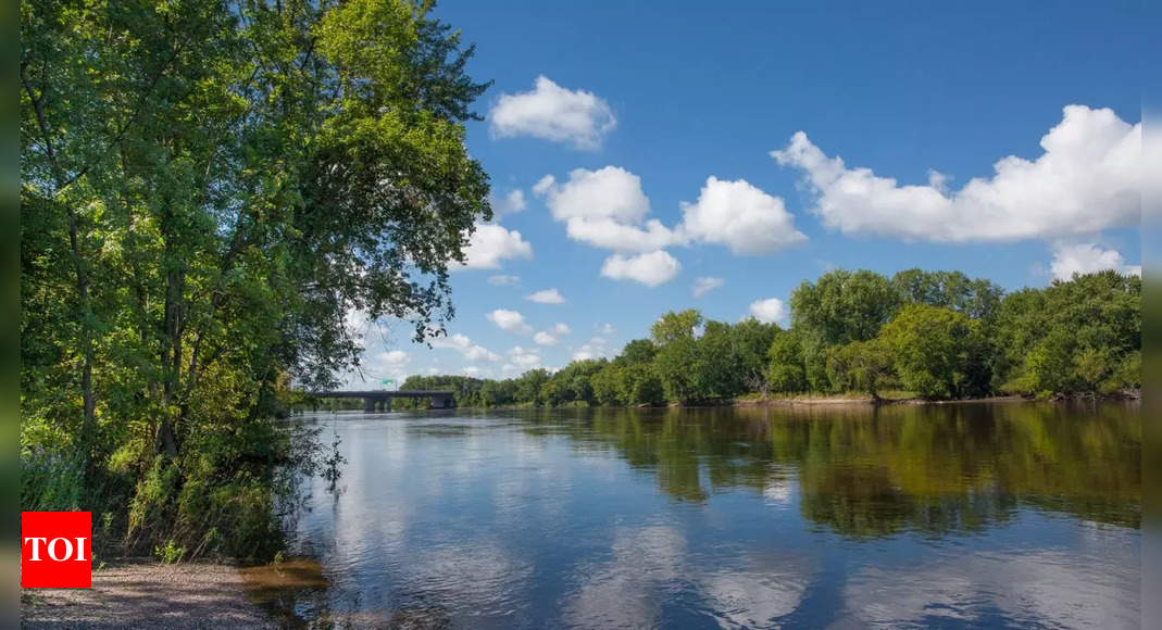 The river that changed American history: The Mississippi’s role in shaping a nation | World News – Times of India