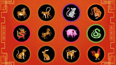 Zodiac signs in hiring: The unique strategy this firm swears by, but there’s more