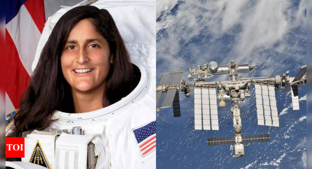 Michael J. Williams: Why Sunita Williams' husband is not bothered about ...