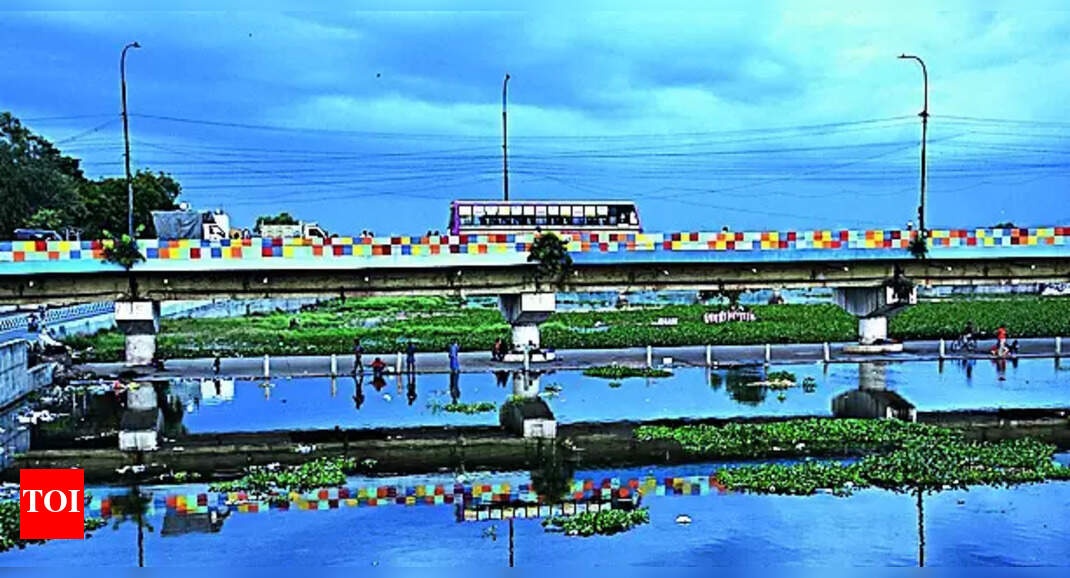 Kalpalam: Neglected Kalpalam bridge in Madurai | Madurai News - Times ...