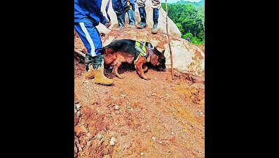 Sniffer dog from state locates four bodies in landslide-hit Wayanad