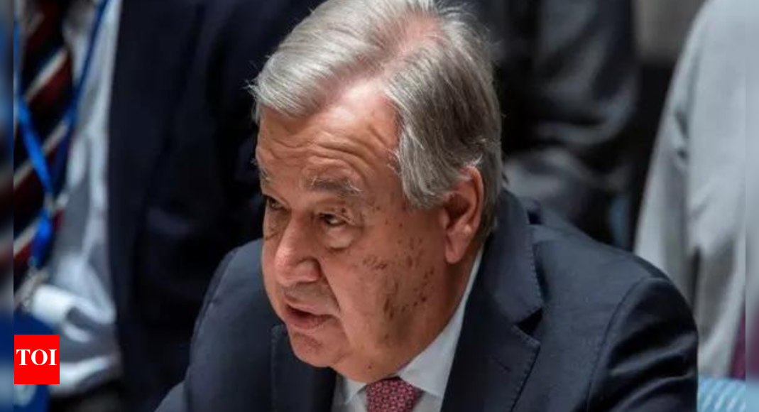 United Nations Security Council: UN chief calls for Africa's permanent ...