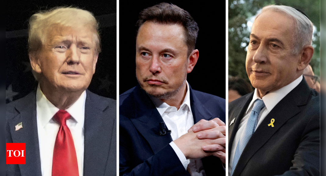 Trump talks about 'Iron Dome' in interview with Musk: What does it mean?