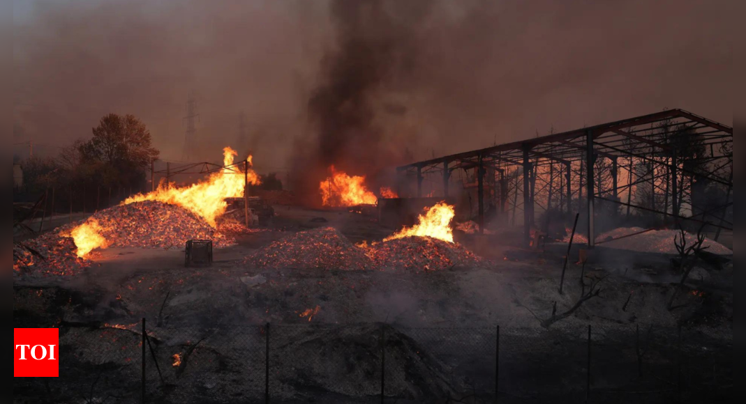 One dead as Greek wildfire burns in Athens suburbs – Times of India