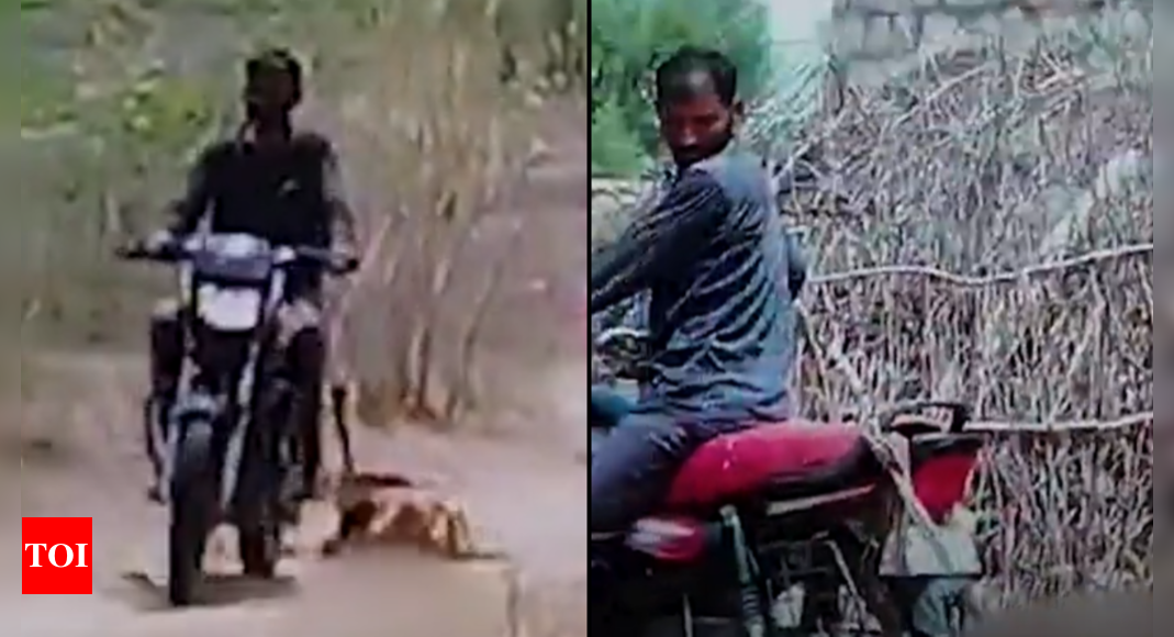 Husband Arrested for Dragging Wife by Motorcycle