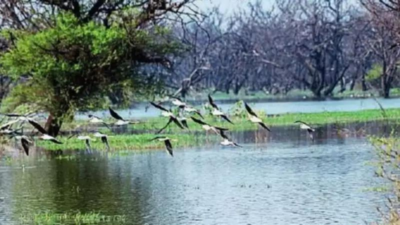 India’s three more wetlands get global tag of international importance