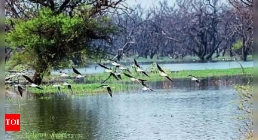 India Adds Three Wetlands to Ramsar List