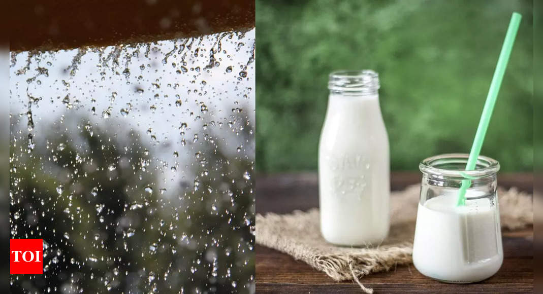 Why does milk turn sour in monsoons? Easy ways to prevent milk from turning sour?