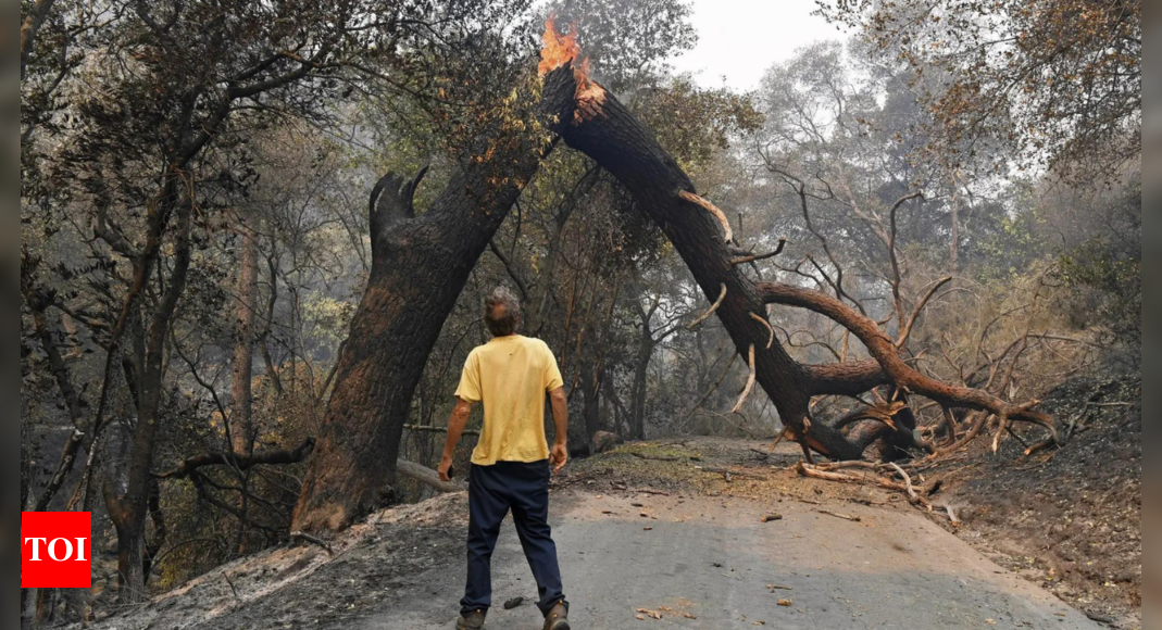 Wildfires are growing under climate change, and their smoke threatens farmworkers, study says – Times of India