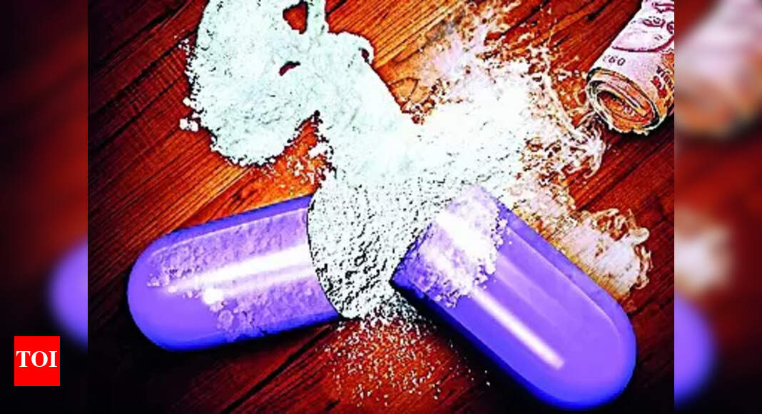 Influencer: Influencer-turned-peddler arrested with 3 gm MDMA in ...