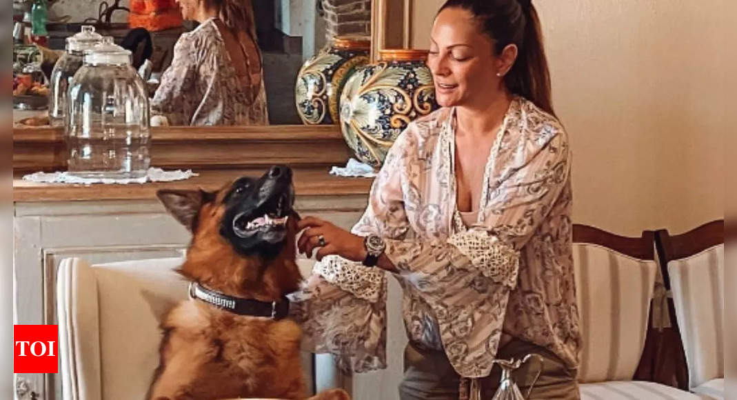 Meet Gunther VI, the world’s richest dog with a net worth INR 3356 crores