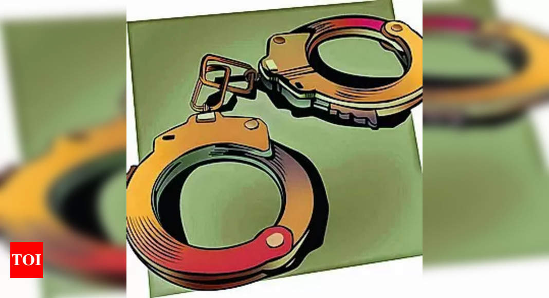 Four Arrested in Punjab Gang Weapons Bust