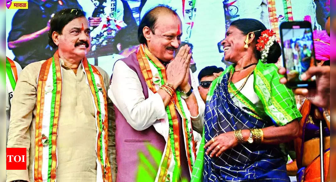 Childbirth by husbands’ grace: Ajit Pawar tells women at rally